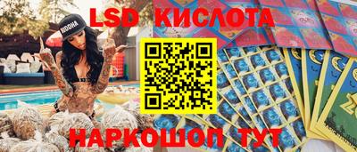 гидра Будённовск