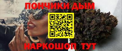 гидра Будённовск