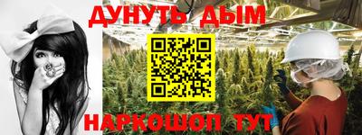 гидра Будённовск