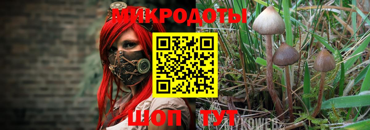 Ревда  Галлюциногенные грибы мухоморы  Вход с VPN  Псилоцибиновые грибы GOLDEN TEACHER 